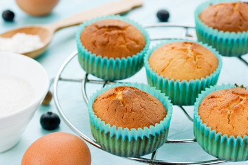 Freshly baked muffins in turquoise paper tins