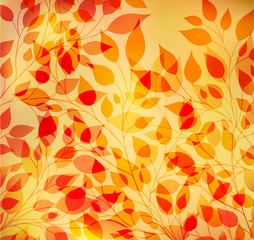 Bright autumn abstract background 