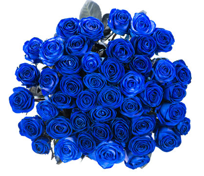 Fototapeta bouquet of blue roses isolate, top view