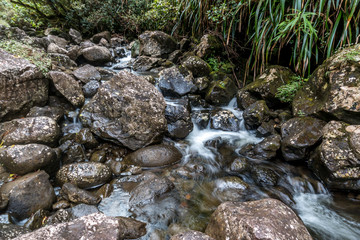 Rivière
Petite rivière à Salazie, île de la Réunion.