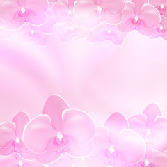Pink flower orchid background
