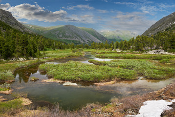 Obraz na płótnie Canvas Beautiful summer landscape, Altai mountains Russia.