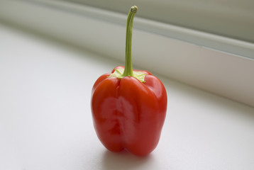 Small red bell pepper