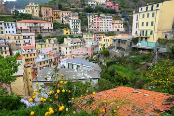 Fototapeta premium Cinque Terre - UNESCO site in Italy