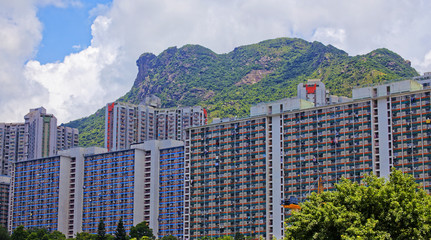 hong kong public estate with landmark lion rock © Cozyta