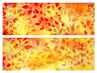 Fototapeta na wymiar Bright autumn abstract background 