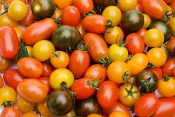 Bunte Tomaten