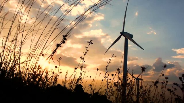 wind turbines farm at sunset
