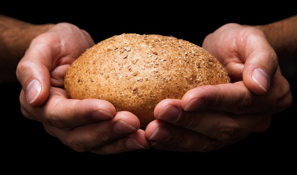 Bread Hands Images – Browse 628,500 Stock Photos, Vectors, and Video |  Adobe Stock