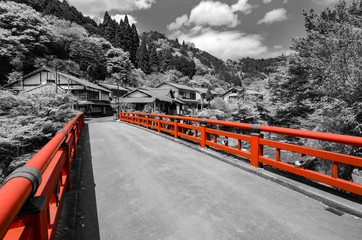 Black and white photo of a small Japanese village with selective color on the red bridge © David Carillet