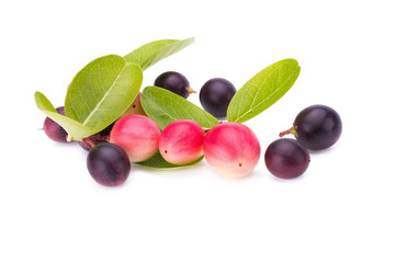 Carunda or Karonda on white background