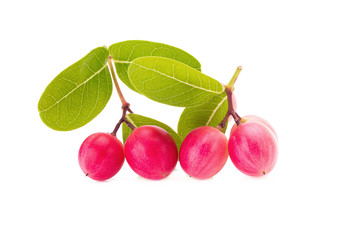 Carunda or Karonda on white background