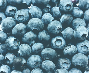 Blueberries background