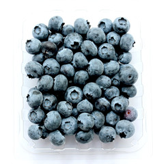 blueberry (bog whortleberry, great bilberry) on white background