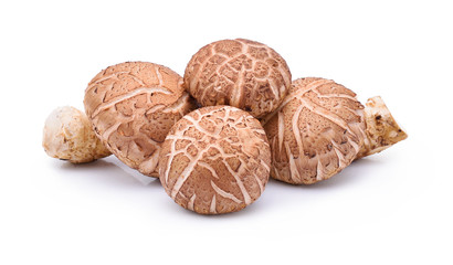 Shiitake Mushrooms on white background