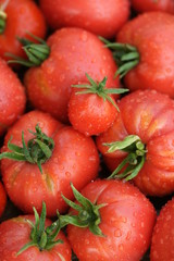Урожай красных помидор крупным планом