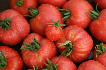 Урожай красных помидор крупным планом