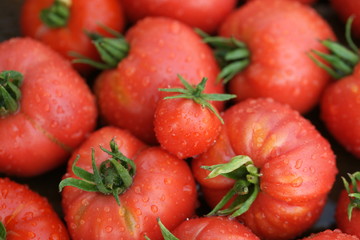 Урожай красных помидор крупным планом