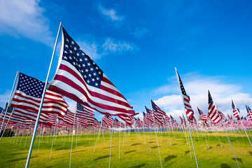 Field of American Flags