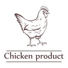 Fototapeta na wymiar Graphical illustration of chicken products with inscription.