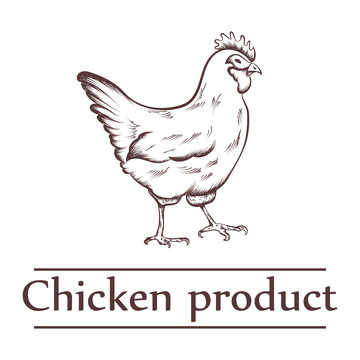 Graphical illustration of chicken products with inscription.