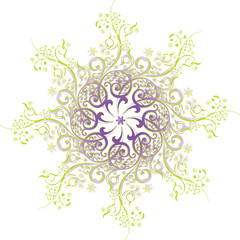 Flowers, plant branches and snowflakes Mandala.