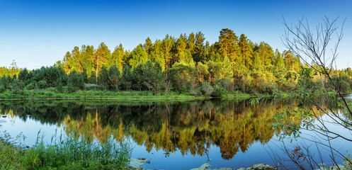 панорама летнего пейзажа соснового леса на берегу озера, Россия, Урал
