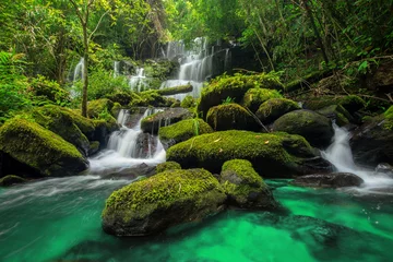 Papier Peint photo Lavable Cascades beautiful waterfall in green forest in jungle at phu tub berk mo