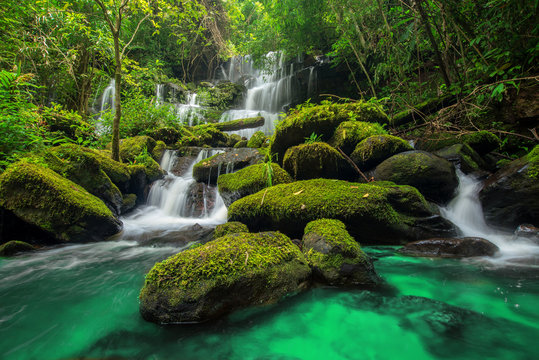 Fototapeta beautiful waterfall in green forest in jungle at phu tub berk mo