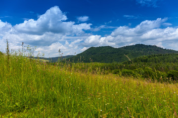 Fototapeta premium Landscape in Bieszczady Mountains.