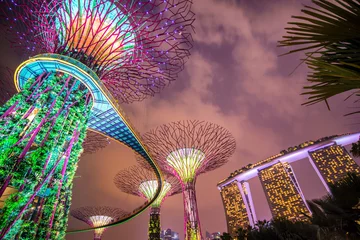 Foto op Canvas The Supertree at Gardens by the Bay © martinhosmat083