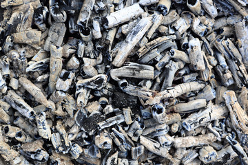 Details of coals in brazier