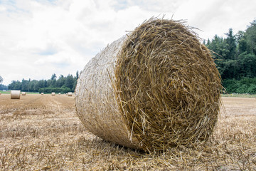 Stroh in Strohballen im Sommer