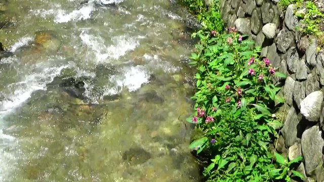 Tatry - potok górski
