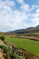 Green Landscape - Kareedouw