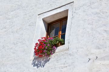 Fototapeta na wymiar Window with colorful flowers on a white wall