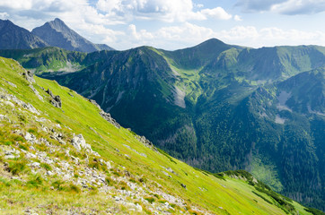 amazing Tatra mountains with green meadow, Poland © lukaszimilena