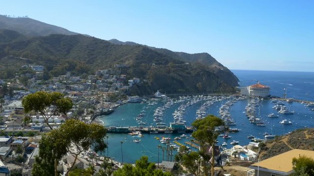 Looking down at the bay and town of Avalon on Catalina Island. Boat fill the harbor.