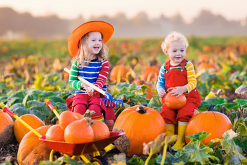 Kids picking pumpkins on Halloween pumpkin patch