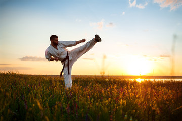 Silhouette of sportive man training karate in field at sunrise.