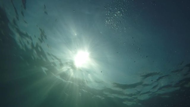 ascend to the sea surface in the sun, raw without effects