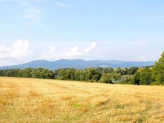 Field after harvest and hills in background