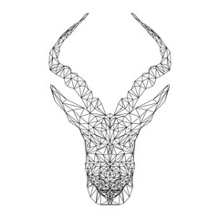 Springbok african animal. Vector antelope illustration for tattoo, coloring, wallpaper and printing on t-shirts. Gazelle silhouette in thin line style. Abstract mammal low poly design. - obrazy, fototapety, plakaty