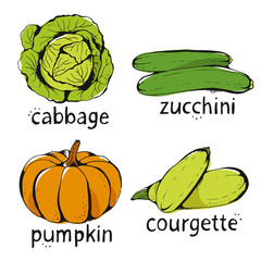Naklejka premium Vector color collection of hand drawn vegetables, vector illustr