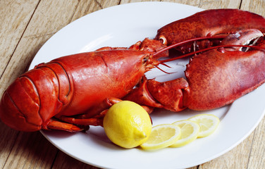 Fresh Boiled Atlantic Lobster