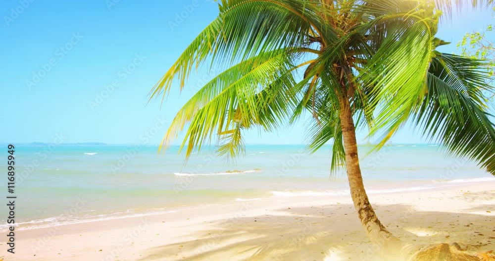 Wall mural beautiful tropical coast paradise with sand beach, palm tree and vivid blue sky