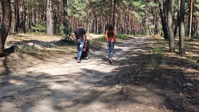 Man carries baby carriage walking through the pine forest along with his wife