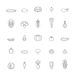 Vegetable icon set. Clean and simple outline design.