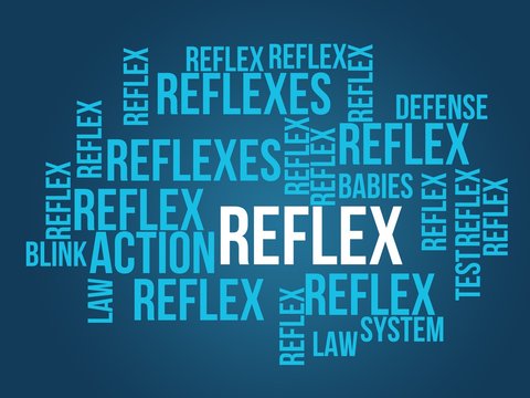 Reflex