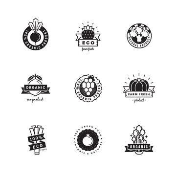 Organic product logo vector set. Hipster and vintage design.